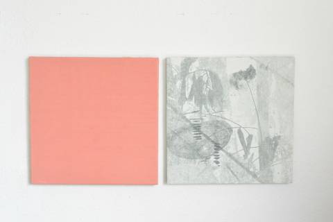 Jardim do Ultramar - Lisboa, 2015 - 2016