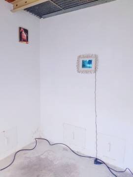 Observações - Lisboa, 2019